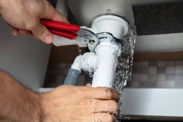 Best Mold removal after water damage  in Minden, NV