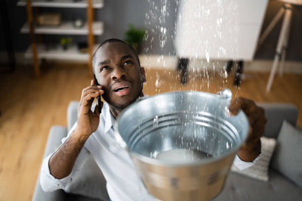 Best Water damage restoration process  in Minden, NV