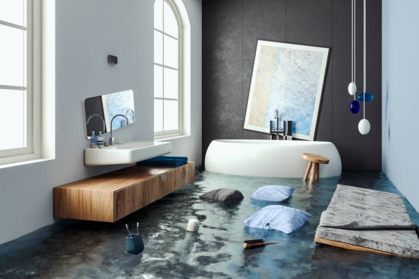 Best Flooded house restoration  in Minden, NV