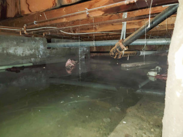 Water damage restoration process in NV