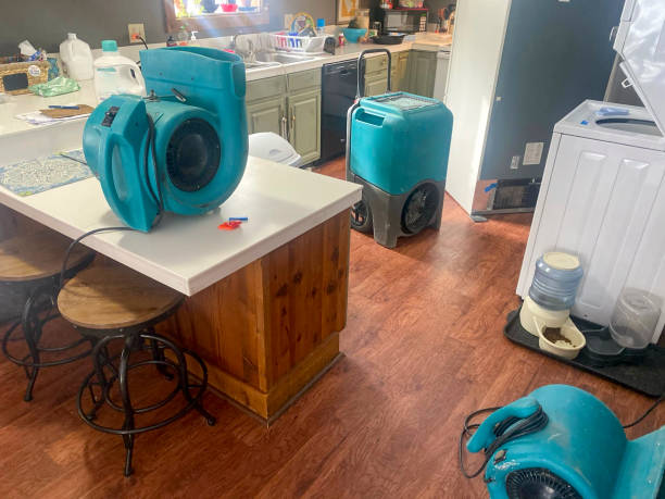 Best Basement water damage restoration  in Minden, NV