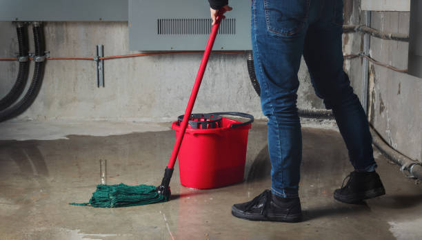 Best Fire Damage Restoration  in Minden, NV