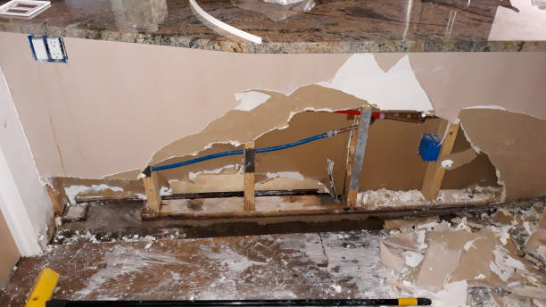 Best 24-hour water damage restoration  in Minden, NV