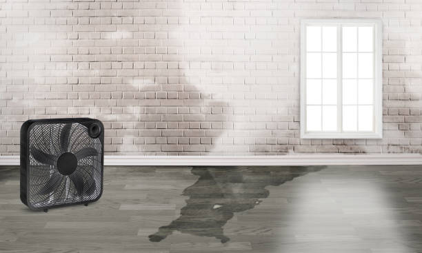 Best Emergency water damage restoration  in Minden, NV