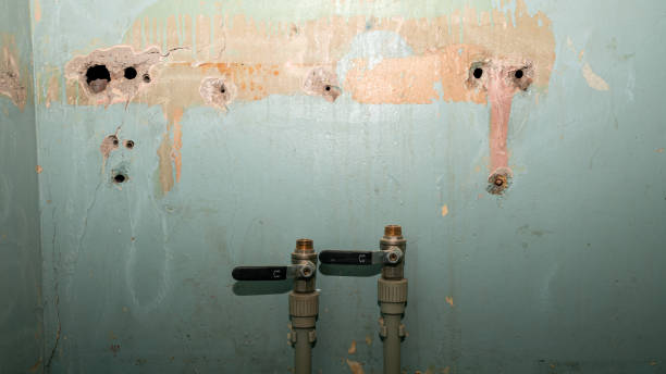 Best Residential water damage restoration  in Minden, NV