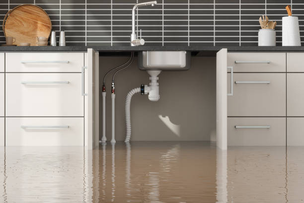 Best 24-hour water damage restoration  in Minden, NV