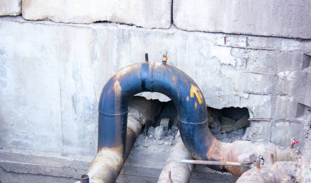 Best Flood restoration services  in Minden, NV