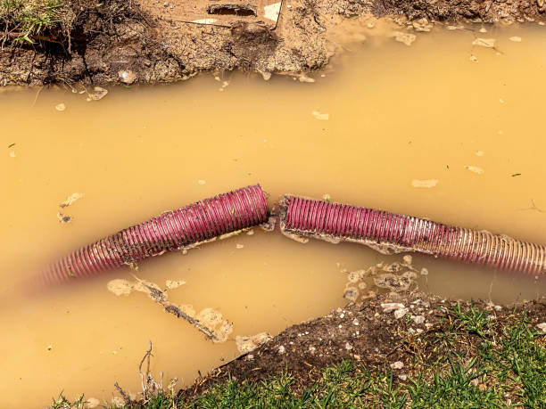 Best Water damage restoration company  in Minden, NV