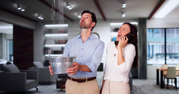 Best Local water damage restoration  in Minden, NV