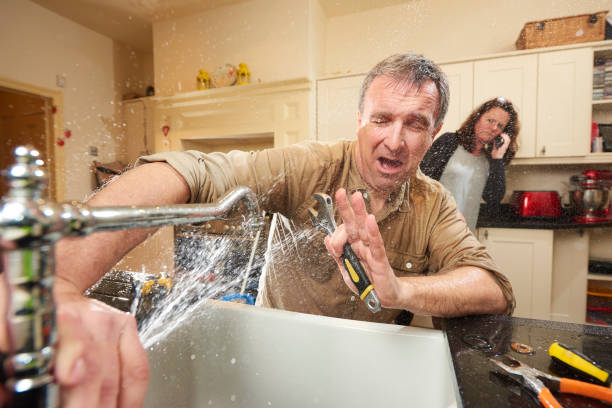 Best Sewage cleanup and water damage restoration  in Minden, NV